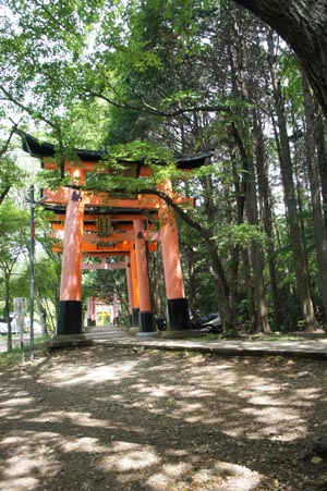 ������O����