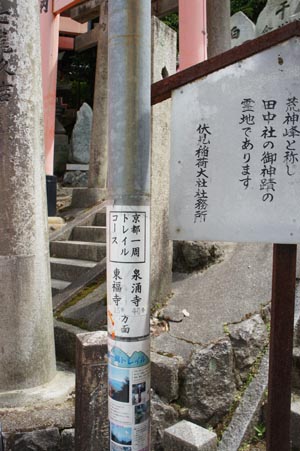 ������O����