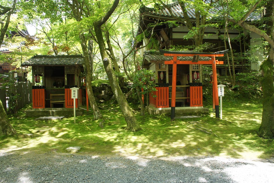 ���F��ω���