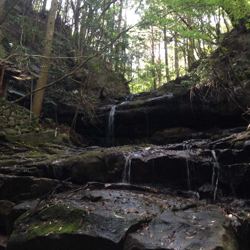 ���_�R�̑�