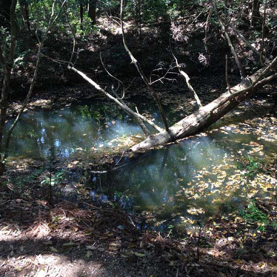 ���_�R����