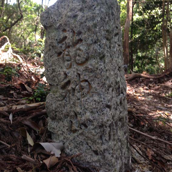 ���_�R�ē��ΕW